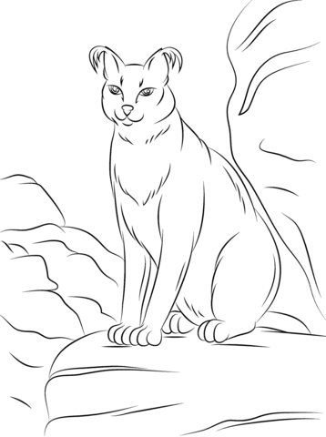 Cute Caracal Coloring Page